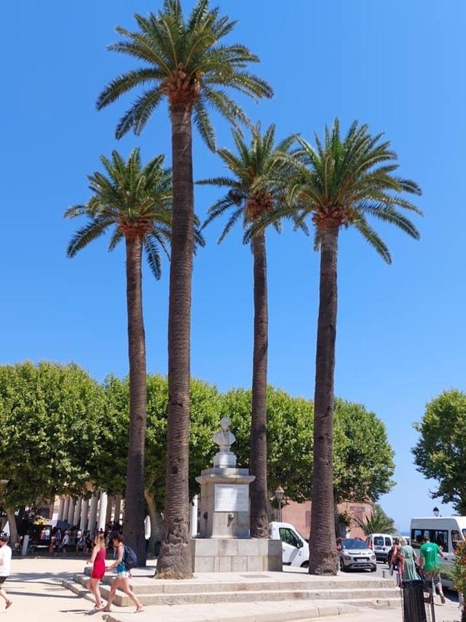 Appartement T4 Tres Bien Situe Et Climatise LʼÎle-Rousse Exteriör bild
